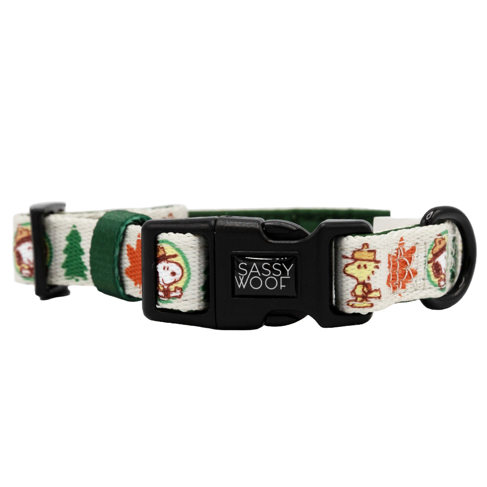 Dog Four Piece Bundle - Peanuts™ Beagle Scouts
