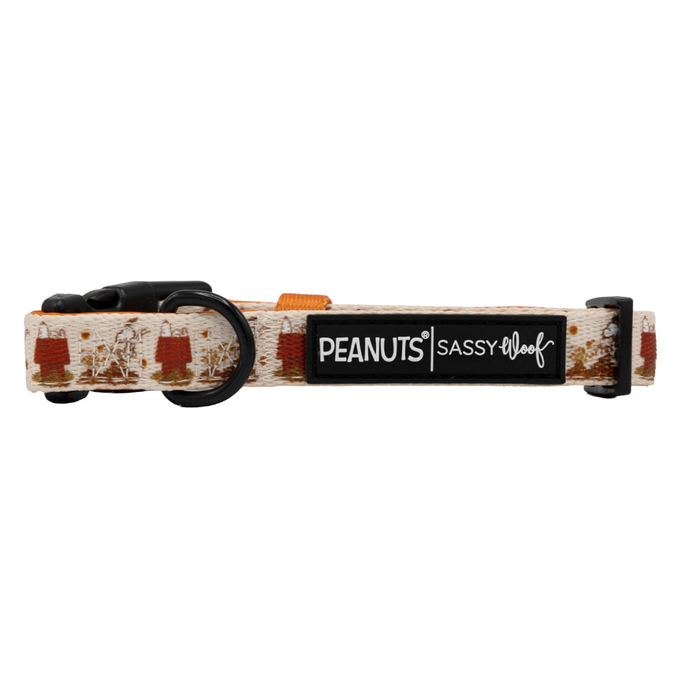 Dog Collar Three Piece Bundle - Peanuts™ Harvest