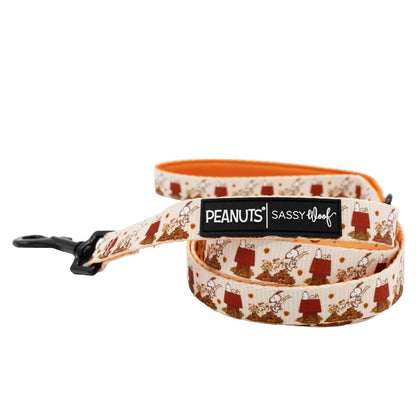 Dog Collar Three Piece Bundle - Peanuts™ Harvest