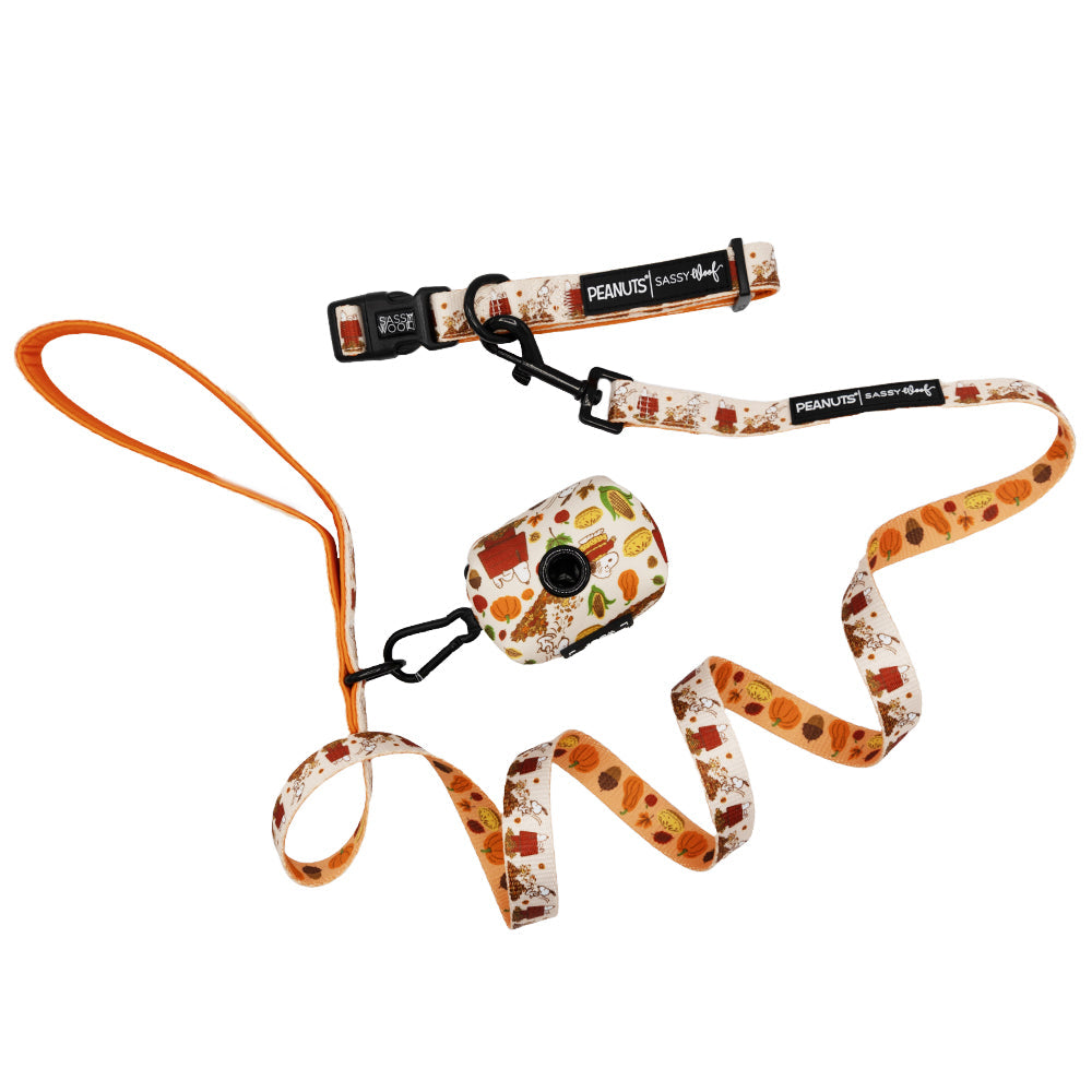 Dog Collar Three Piece Bundle - Peanuts™ Harvest
