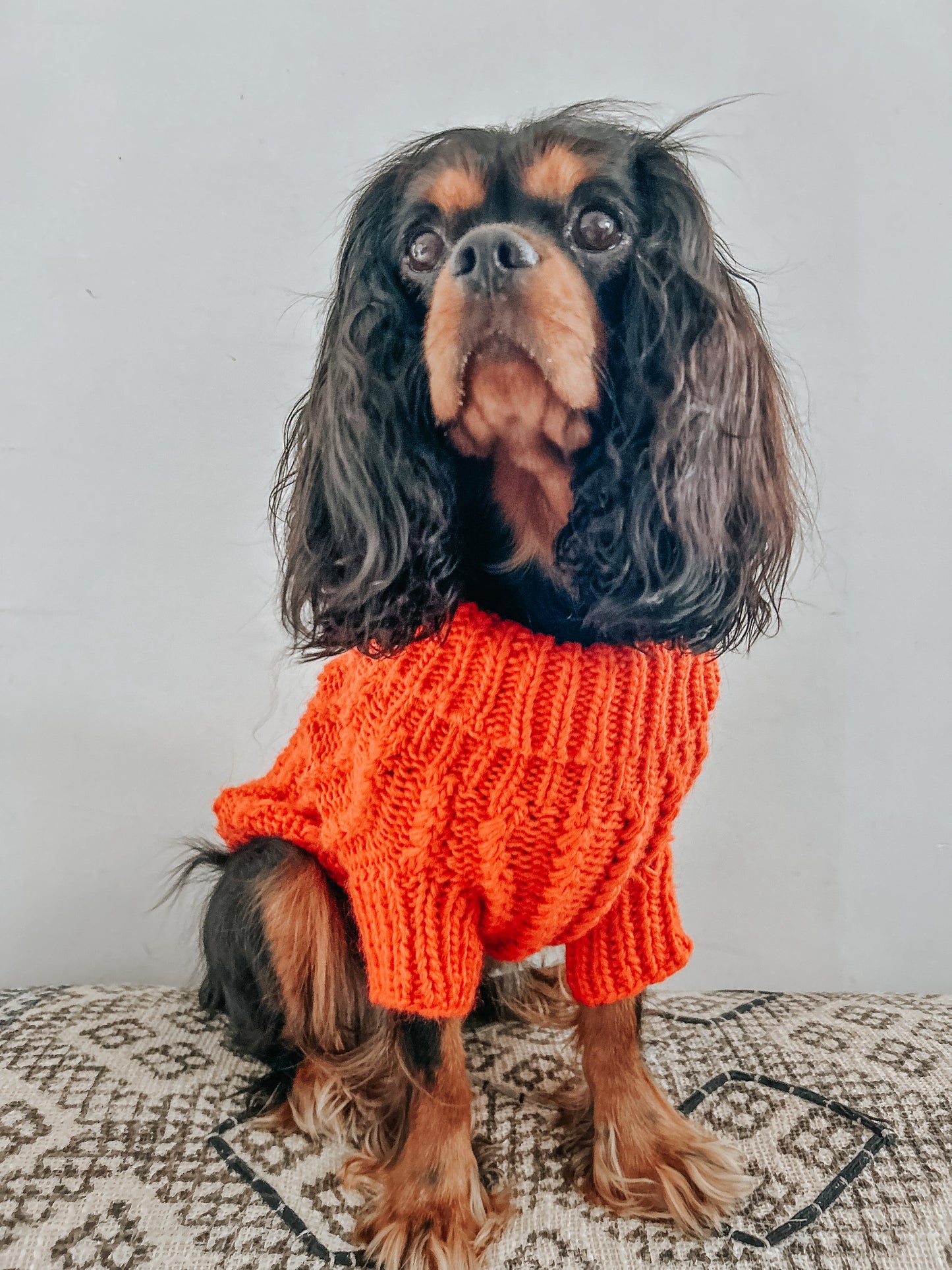 Pet Cable Knit Sweater - Orange