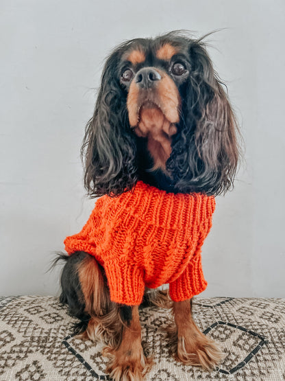 Pet Cable Knit Sweater - Orange