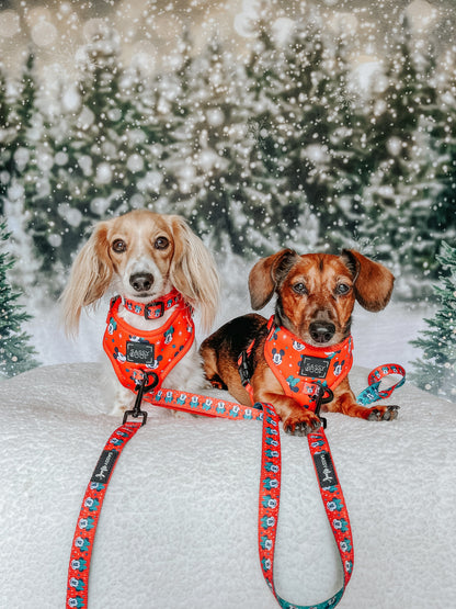 Dog Two Piece Bundle -  Disney Holiday Collection