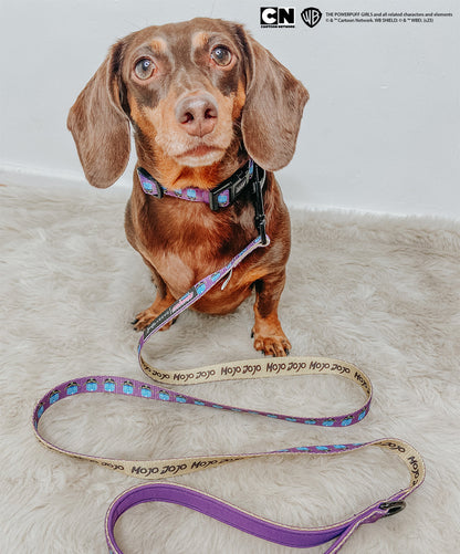 Dog Collar - Mojo Jojo™