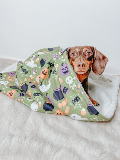 Pet Blanket - Haunt Mess