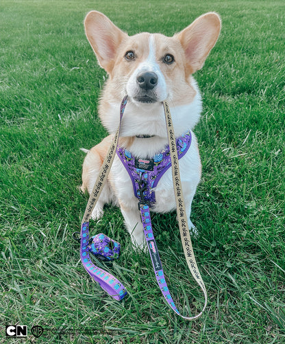 Dog Four Piece Bundle - Mojo Jojo™