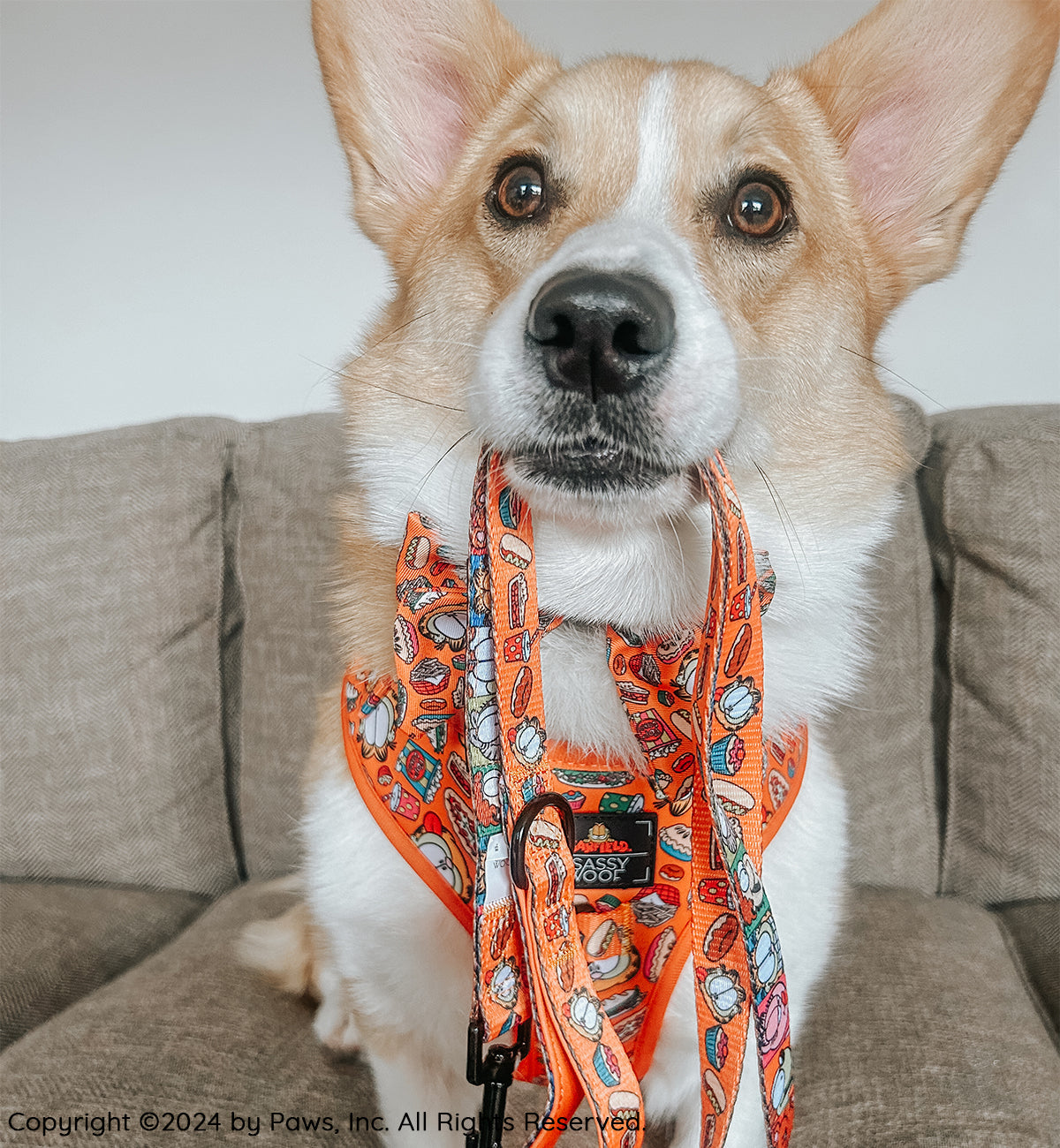 Dog Four Piece Bundle - Garfield™