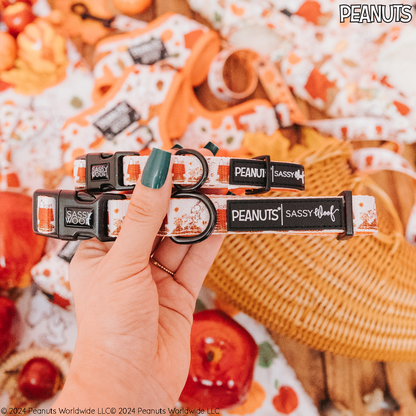 Dog Collar Three Piece Bundle - Peanuts™ Harvest