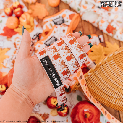 Dog Collar Three Piece Bundle - Peanuts™ Harvest