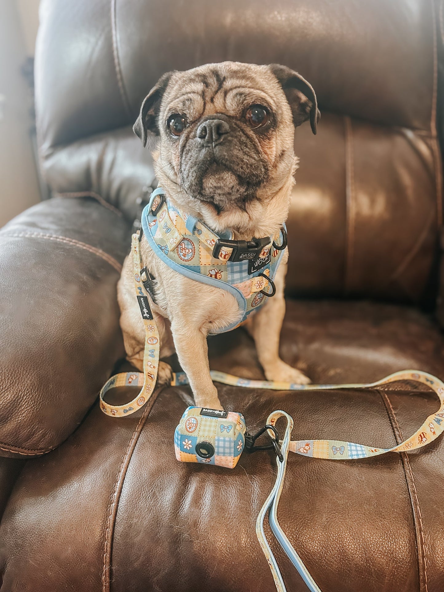 Dog Two Piece Bundle - Patch Perfect