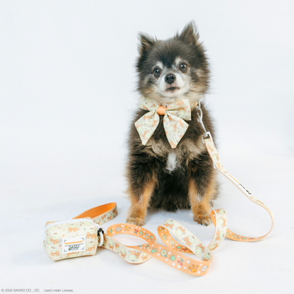 Dog Collar Three Piece Bundle - Pompompurin™