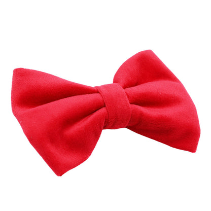 Dog Bowtie - Naughty