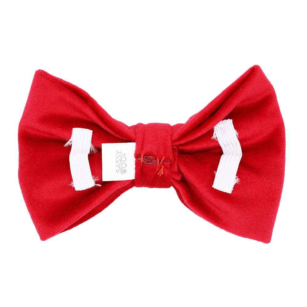 Dog Bowtie - Naughty