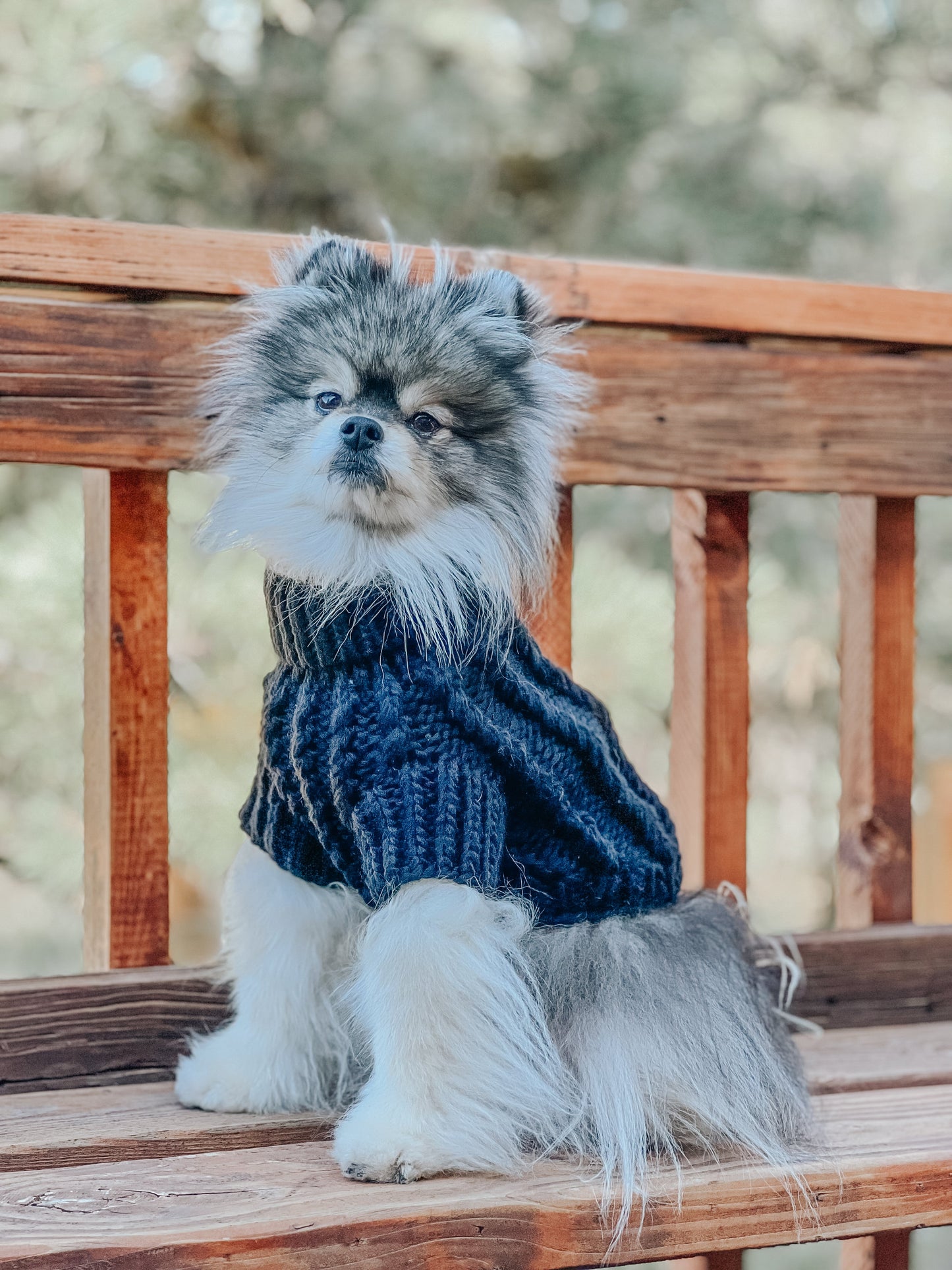 Pet Cable Knit Sweater - Navy