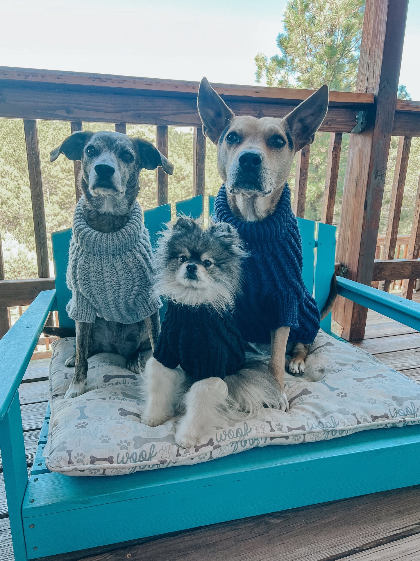 Pet Cable Knit Sweater - Gray
