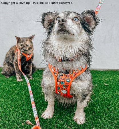 Dog Four Piece Bundle - Garfield™