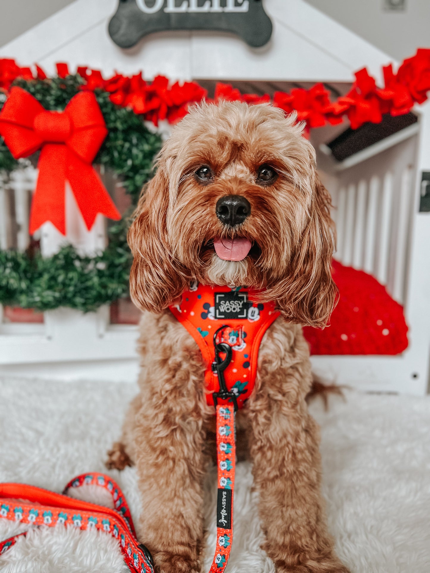 Dog Two Piece Bundle -  Disney Holiday Collection