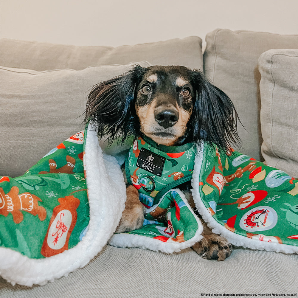 Dog Four Piece Bundle - Elf™