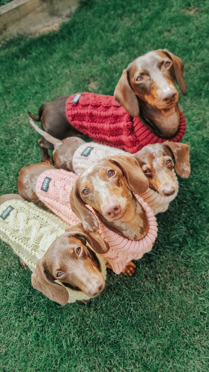 Pet Cable Knit Sweater - Pink