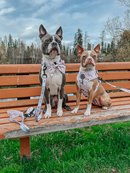 Dog Sailor Bow - Bold Boston Terriers