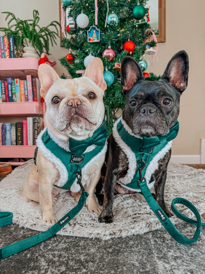 Dog Three Piece Bundle - Nice