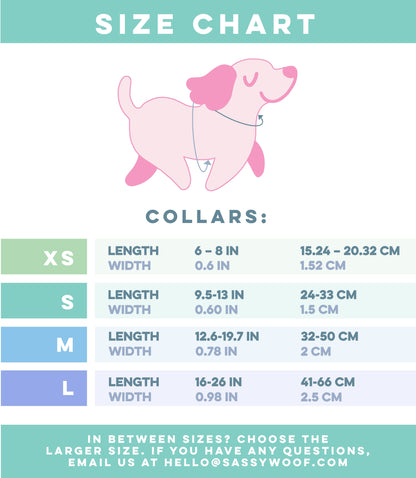 Dog Collar Three Piece Bundle - Pompompurin™