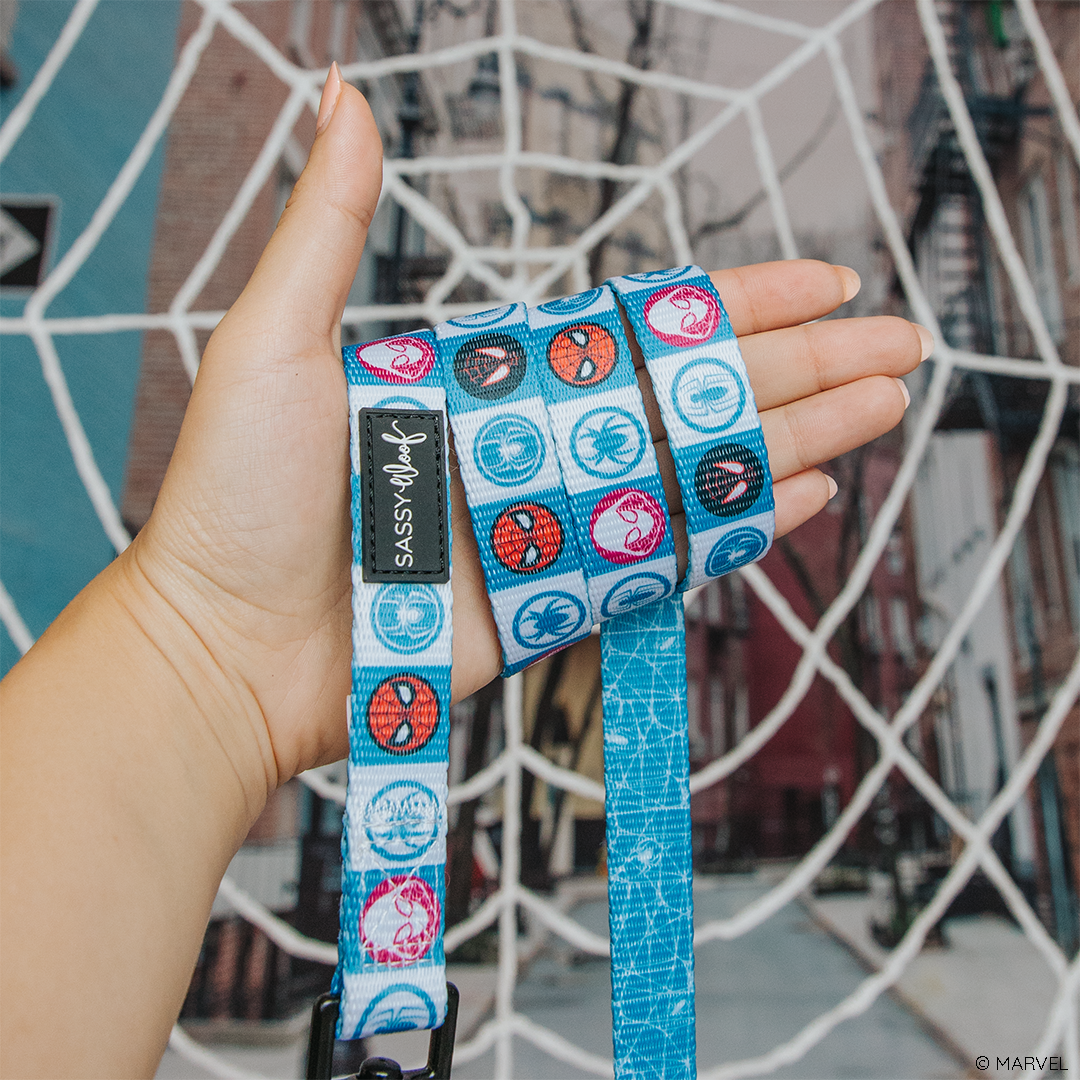 Dog Collar Three Piece Bundle - Marvel’s Spider-Man