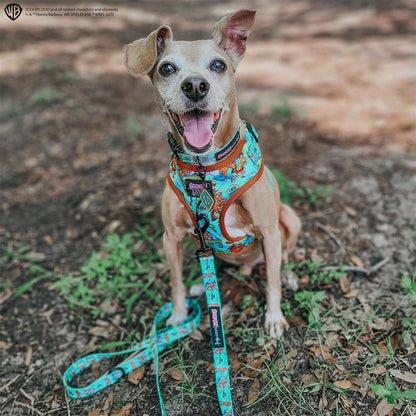Dog Collar - Scooby-Doo™