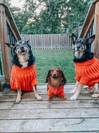 Pet Cable Knit Sweater - Orange