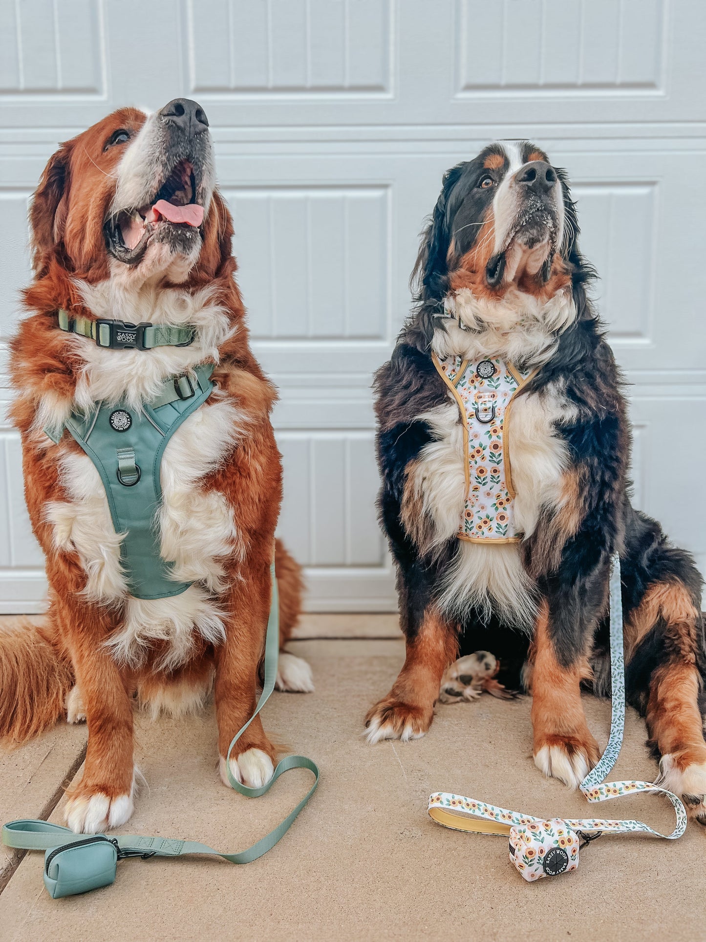 Dog Step-in Harness - Sage