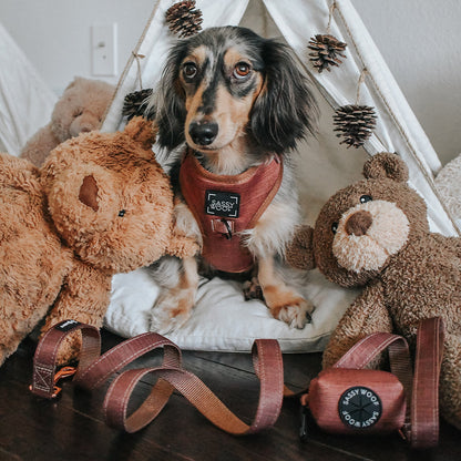 Dog Waste Bag Holder - Teddy