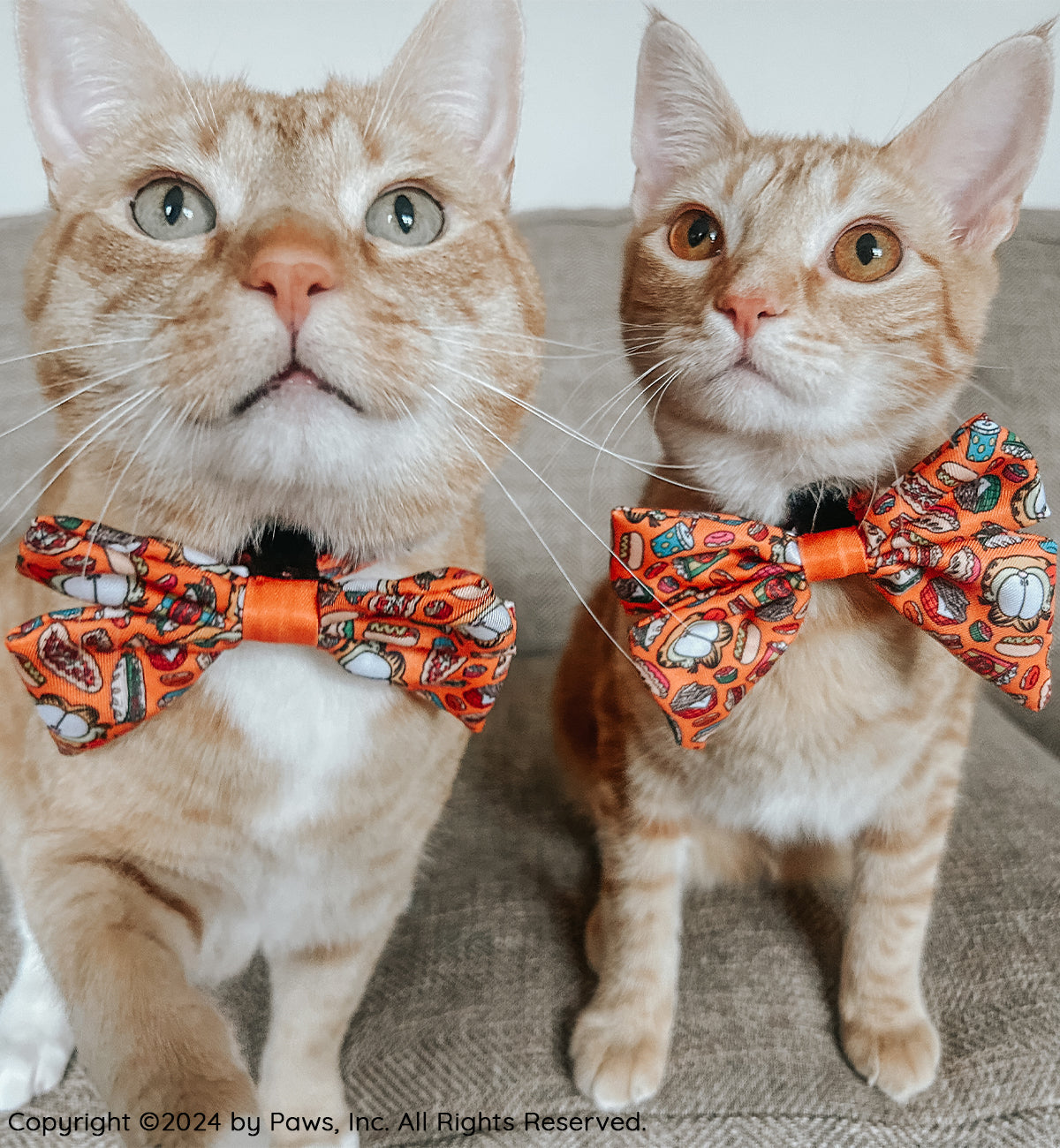 Cat Bowtie - Garfield™