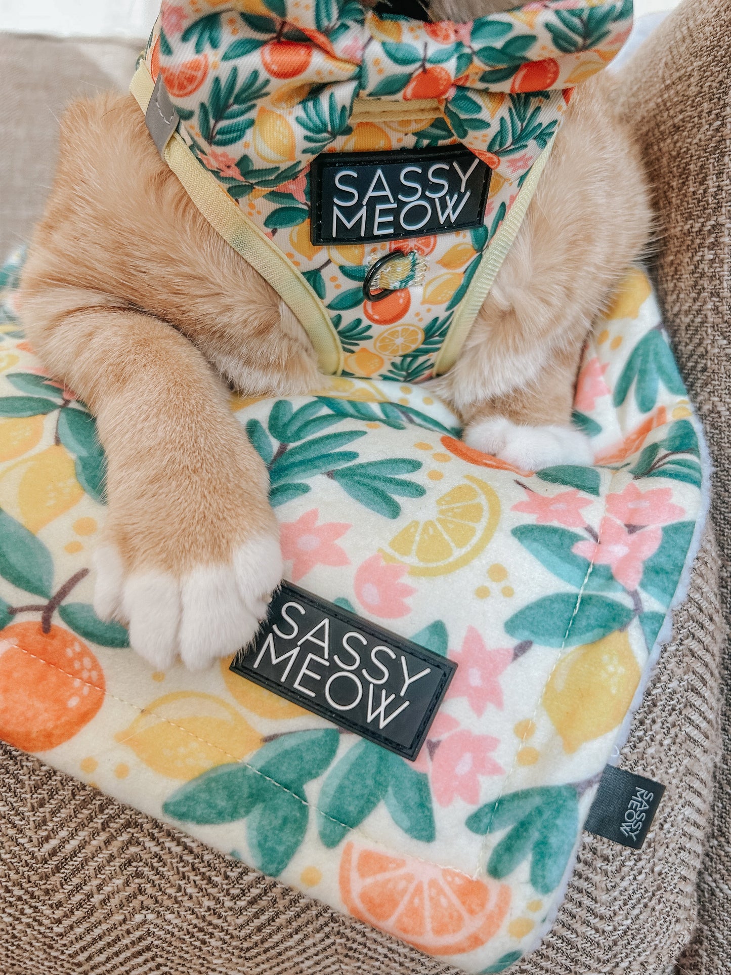 Pet Blanket - Zest Friends