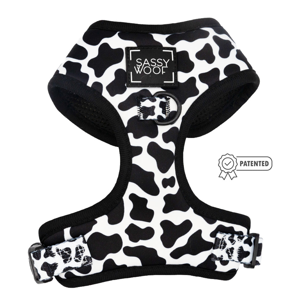 Dog Two Piece Bundle - Whole Milk