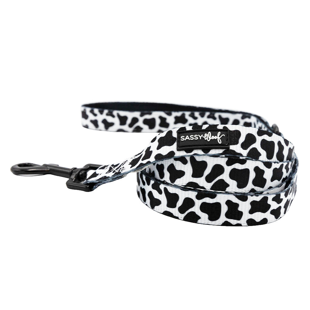 Dog Two Piece Bundle - Whole Milk
