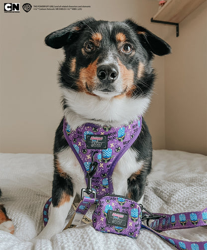 Dog Four Piece Bundle - Mojo Jojo™