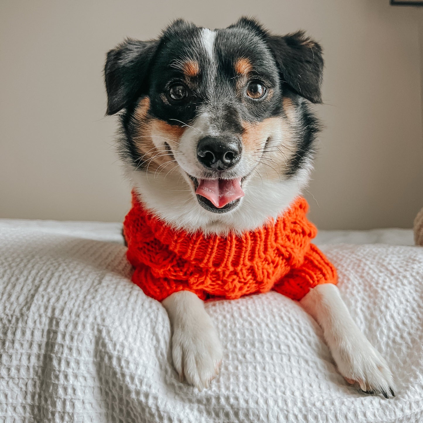 Pet Cable Knit Sweater - Orange