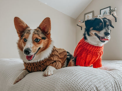 Pet Cable Knit Sweater - Orange