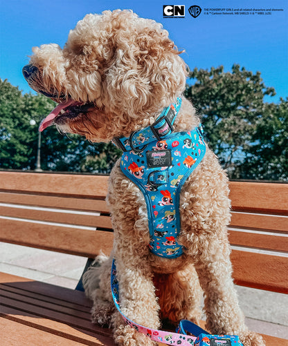 Dog Collar - The Powerpuff Girls™ (Blue)