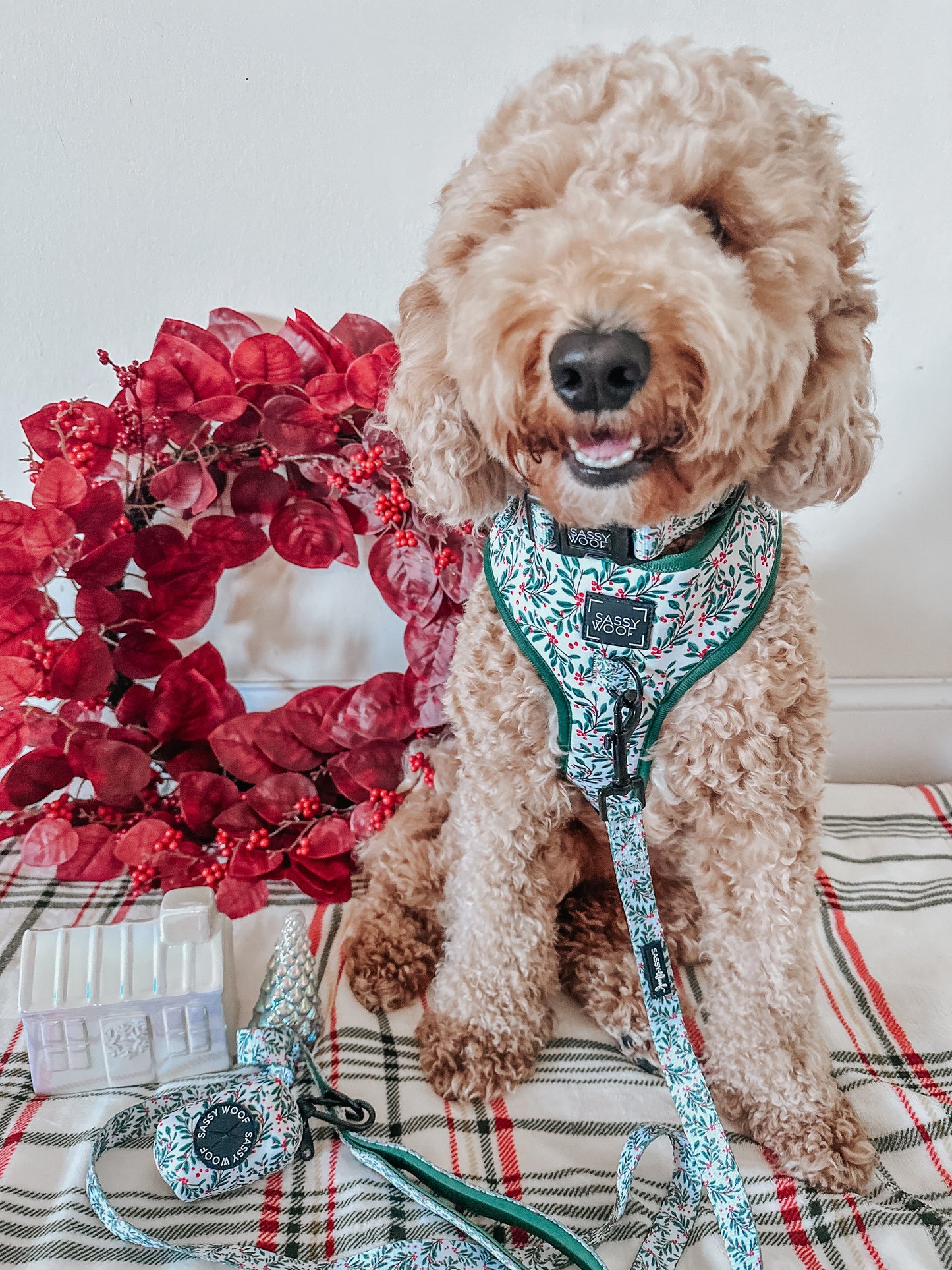 Dog Four Piece Bundle - Under the Mistletoe