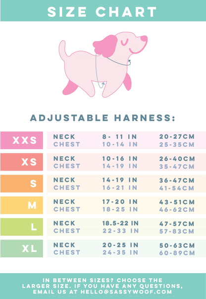 Dog Two Piece Bundle - Bee Sassy