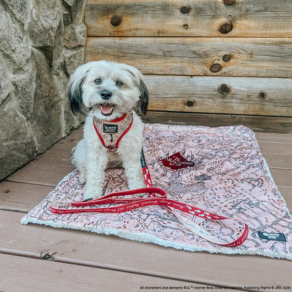 Dog Two Piece Bundle - Harry Potter™ Marauder's Map™