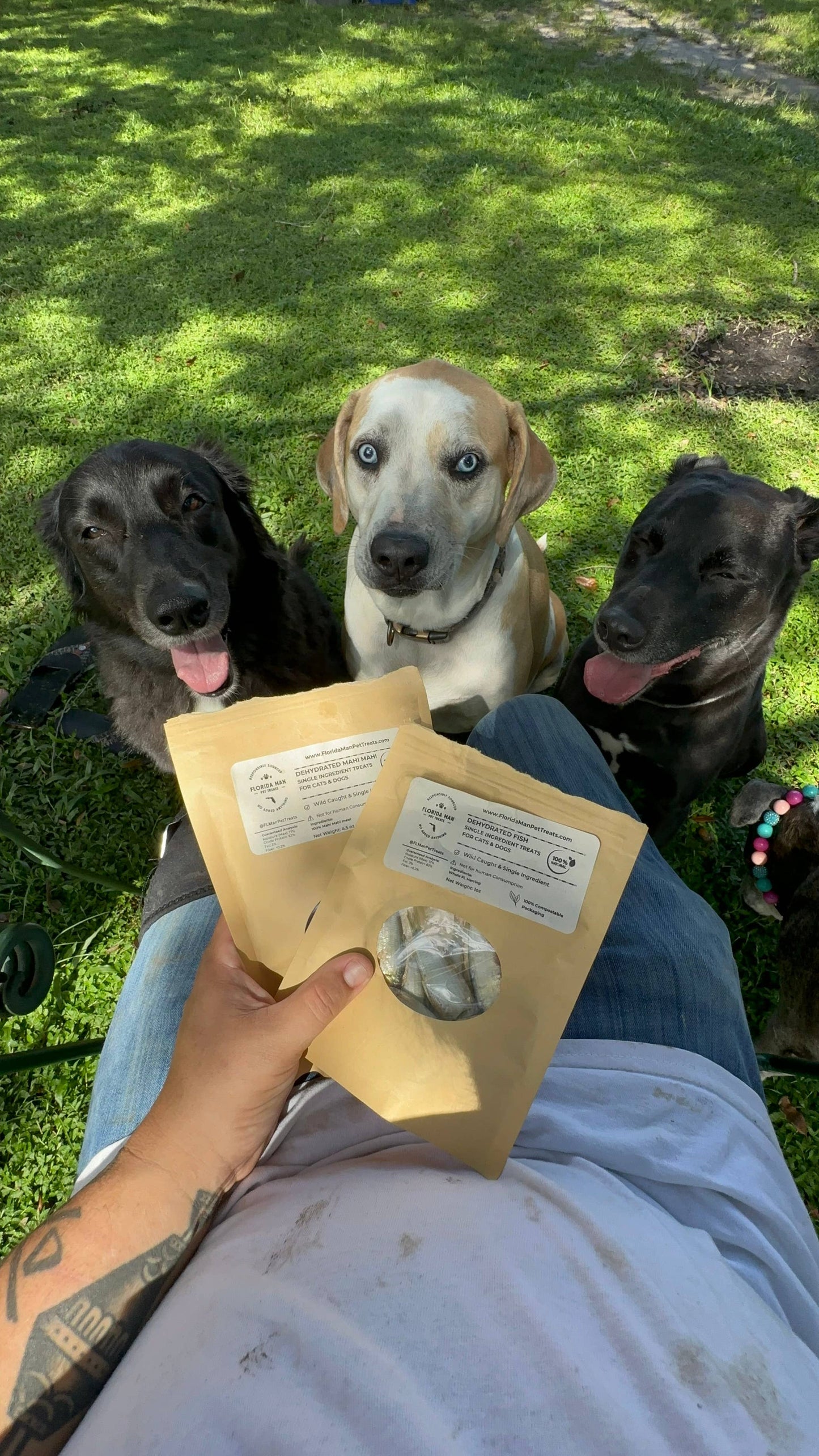 Florida Man Pet Treats - Whole FL Sardines