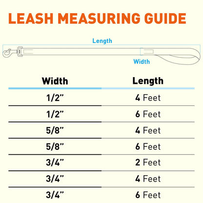 Dogline - Biothane Waterproof Leash