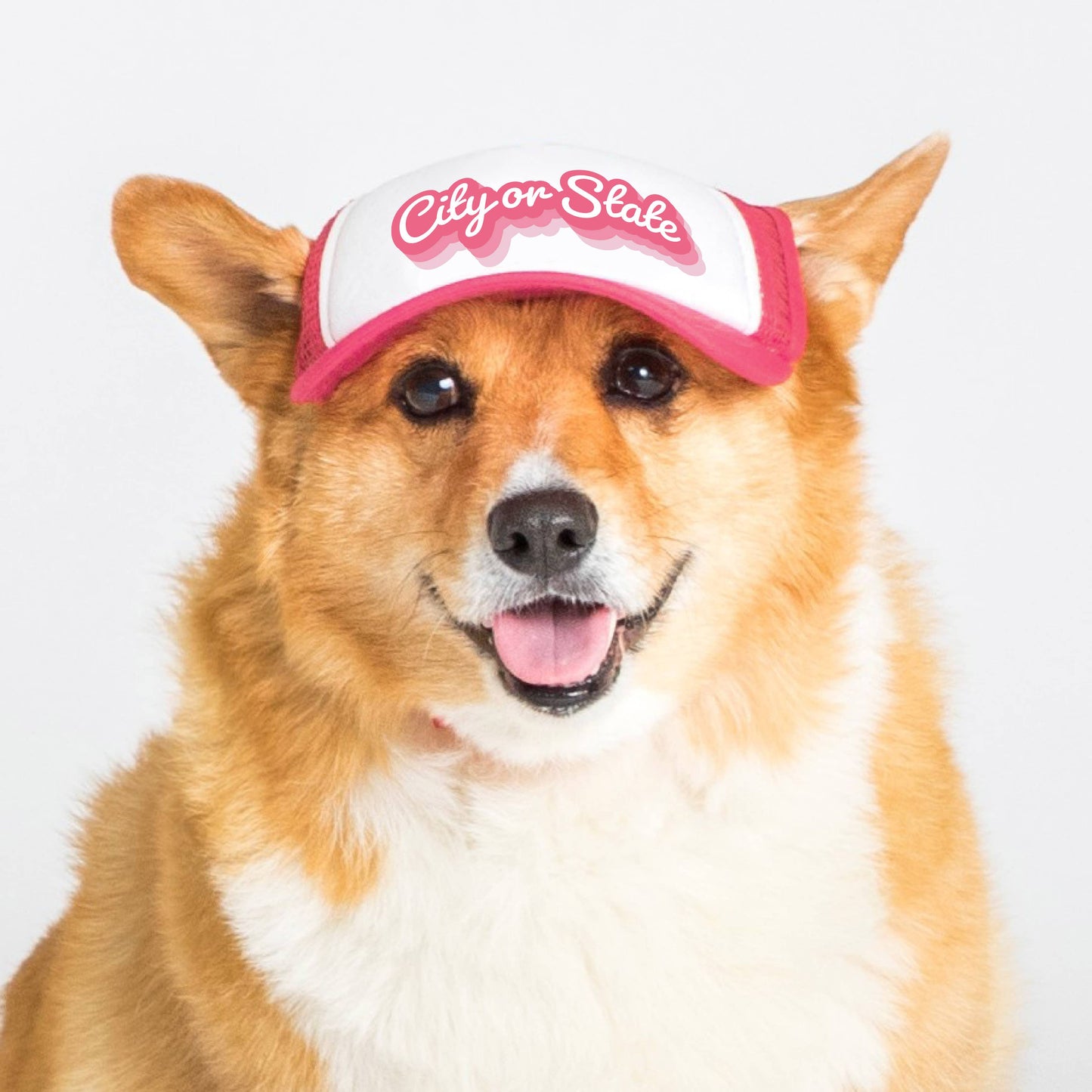 PupLid - Custom Retro Text | Trucker Hat for Dogs