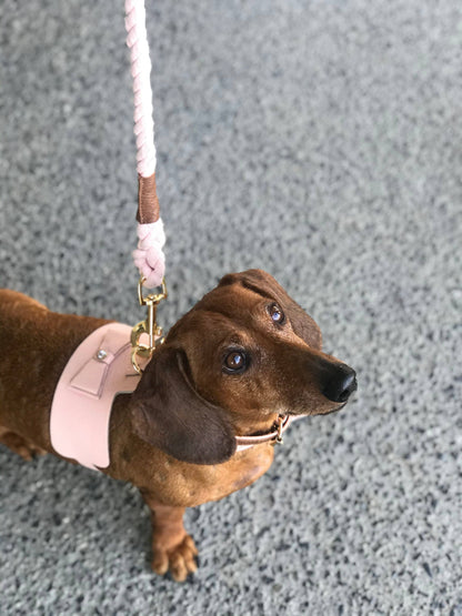 PoisePup - HARNESS - BELLA ROSE
