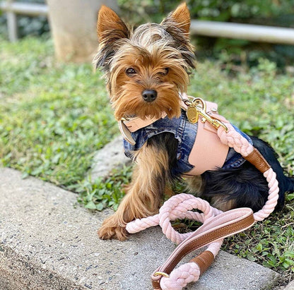 PoisePup - HARNESS - BELLA ROSE