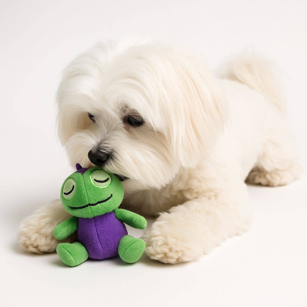Nandog Pet Gear - My BFF Mini Dinos