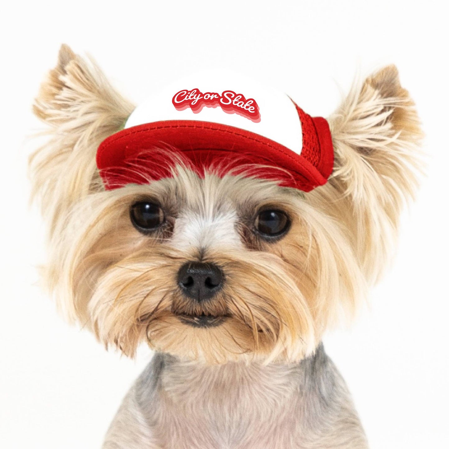 PupLid - Custom Retro Text | Trucker Hat for Dogs