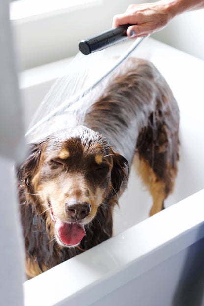 Pure + Good -  Dog & Cat Shampoo: Blue Cypress + Neroli